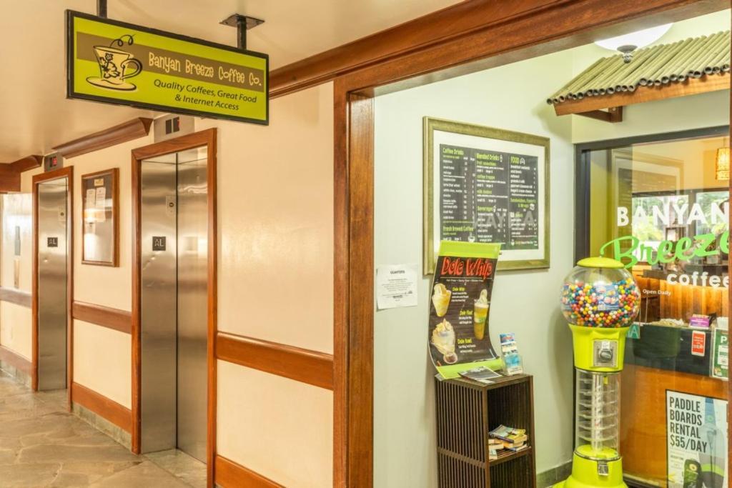 דירות הונולולו Waikiki Banyan W-Ocean Views With Free Parking! מראה חיצוני תמונה